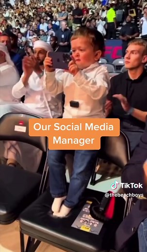 The Beach Boys on TikTok