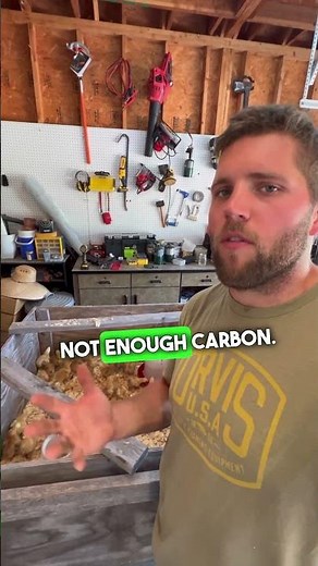 How to Maintain a Clean Chicken Brooder #backyardchickens #homesteading