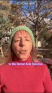 Since 2023, a brutal war has raged between Sudan’s military and the UAE-backed Rapid Support Forces. The RSF just seized El Fasher, leaving behind massacres, sexual violence, and famine. The weapons? They’re coming from the United Arab Emirates, a top buyer of U.S. arms. It’s time to say: No more U.S. weapons to the Emirates. No more complicity in Sudan’s genocide. | CODEPINK: Women For Peace