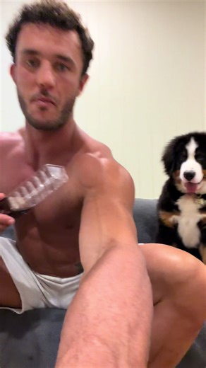 Understanding Why Chocolate Is Bad for Dogs