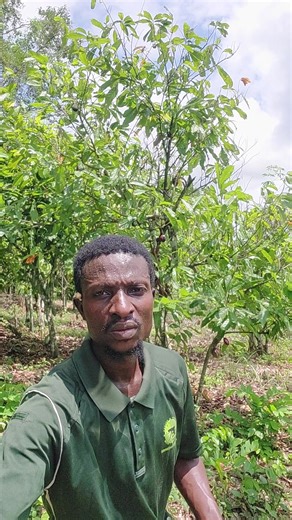 HERBALMALL11 on TikTok