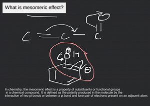 [Solved] What is founder effect? - Biology Exemplar... | Filo