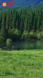 Trending in China | Enchanting Altay landscapes Nestled in northwest China's #Xinjiang Uygur Autonomous Region, #Altay Prefecture is a land of breathtaking beauty and diverse landscapes. Under the blue skies, the grass whispers and the mountains dance. Join us in delving into nature's secrets! | WE ARE CHINA