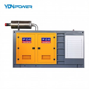 [Hot Item] Premium 250kw Cummins Natural Gas Generator Meeting Global Performance and Safety Norms
