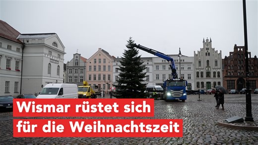 Am Freitag, dem 14. November 2025, begann gegen 10 Uhr auf dem Marktplatz in Wismar das Aufstellen des diesjährigen Weihnachtsbaumes. Der prächtige Nadelbaum stammt in diesem Jahr aus einer privaten Spende aus Karow bei Wismar. Transportiert wurde der circa 13 Meter hohe Baum von einer spezialisierten Firma, die ihn gemeinsam mit der Feuerwehr Wismar sicher auf dem Marktplatz aufrichtete. | Wismar TV