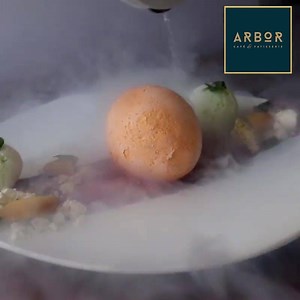 Arbor on Reels