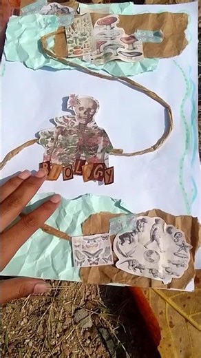 CBSE 10th grader bio project ideas