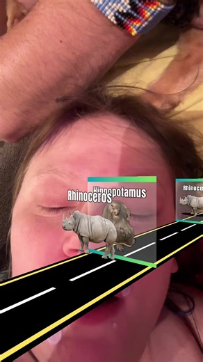 Allison Hope Smith (@allisonhsmith)’s videos with original sound - Allison Hope Smith