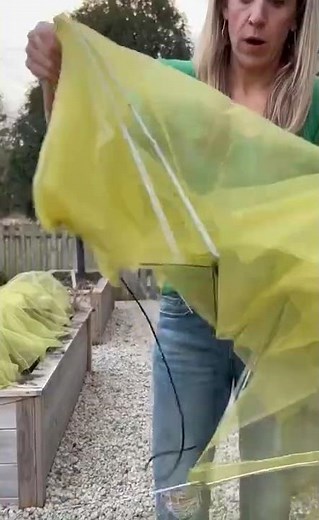 How to Keep Pests OFF Your Plants