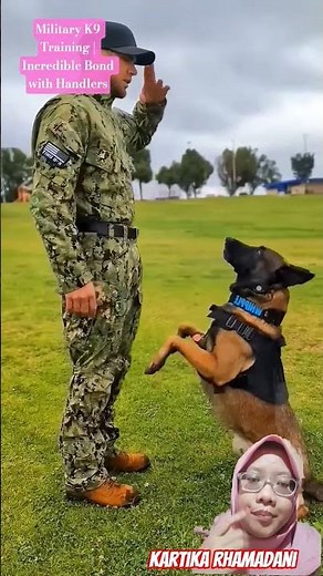Military K9 Training | Incredible Bond with Handlers #smartdog #k9master #dogtraining #policedog #k9