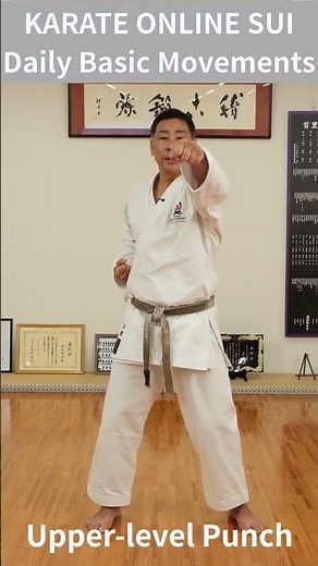 KARATE ONLINE SUI - Daily Basic Movements Upper level Punch
