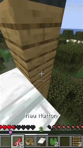 Yes, I play better than Dream | Manhunt #minecraft #minecraftspeedrun #minecraftmanhunt