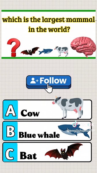 Challenging English Quiz: Test Your Skills Today