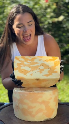 Fusqueijao on Instagram: "Queijo Pampa: visual marcante e sabor inusitado! 🧀✨ Inspirado no Cheddar, ele é bicolor, resultado de uma técnica artesanal com urucum, que remete à pelagem dos cavalos Pampa. Textura firme, sabor equilibrado e versatilidade para tábuas, sanduíches e harmonizações com Cabernet Sauvignon ou Chardonnay. Uma peça rústica e elegante que une estética e paladar. Experimente essa criação única! #QueijoPampa #QueijosArtesanais #QueijosEspeciais"