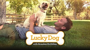 Sit. Stay. Watch! Lucky Dog with Brandon McMillan is BACK for an ALL NEW season! Premiering this Saturday, September 29th on CBS Dream Team, It's Epic! | Lucky Dog