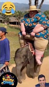 try to not laugh - 54 #shorts