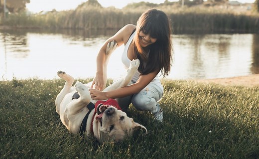 Wait… Dogs Can Be Ticklish?! What Happens When You Find The Spot!