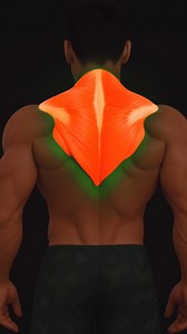 Most people only train the “top” of their traps… and that’s why they never grow. If you want traps that POP from every angle, you need to hit all 3 parts: 🔺 Upper traps – barbell shrugs 🔺 Middle traps – Kelso shrugs 🔺 Lower traps – prone Y raises These three movements will build: • a thicker neck • wider upper back • better posture • and that strong, athletic look everyone notices Save this, try it next session, and drop a “🔥” if you want a full traps workout! #trapsworkout #trapstraining #u