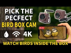 Pick a Right Camera for your Bird Box
