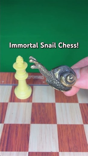 Immortal Snail Chess! #shorts #chess #memes