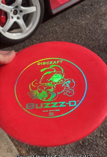 Is This Disc Golf Purchase a Win?