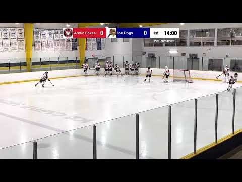 Arctic Foxes 16U2 vs. Northern VA Ice Dogs 1/16/2026