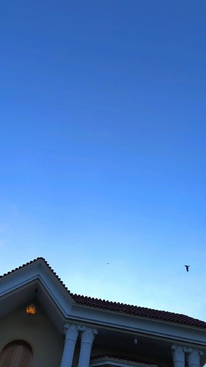 𝐌𝐀𝐇𝐀𝐌 🦋 | Mujhe awaz de lena tumhe acha lagega! 💗🦋 . . . Follow @mahamthetic For More ❤️ . . . . . . . #trending #urdushayari #explorepageready... | Instagram