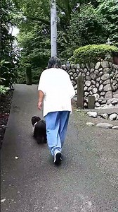 脳梗塞から社会復帰頑張ってます。3ヶ月。まだまだですね。