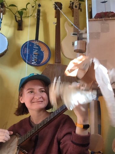 Exploring Sheep and Birds with Innovative Magnet Use