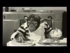 Earliest PG Tips Advert 1956 (Chimp's Tea Time)