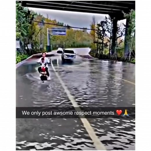 Respect Car driver! ❤️‍🩹🥀 | Free Emotion