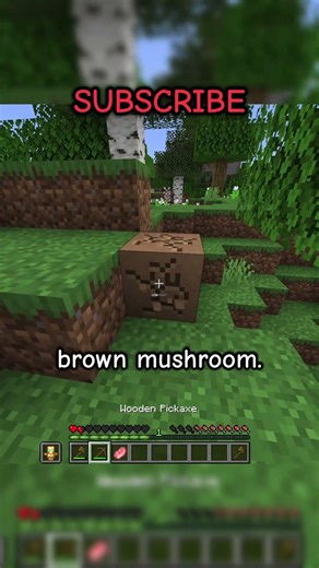 Breaking Blocks Gives Me WHAT?! #minecraft #shorts #challenge