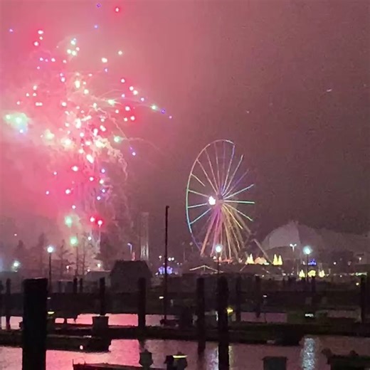 NBC Chicago on Instagram: "2025 FIREWORKS FINALE: Navy Pier's final fireworks show of the year lit up the lakefront with a breathtaking display. #navypier #fireworks"