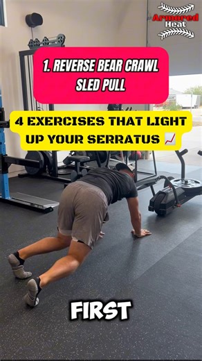 📈 TOP 4 SERRATUS ANTERIOR EXERCISES 🔥 There are tons of benefits of Closed Chain work ranging from Shoulder and Scap Stability to Trunk Control to Serratus Anterior Strengthening and the goal of this post is to give you ideas on how to further progress yours 🔑 The Key Concept here is that the resistance (whether it be the Sled or the Cable Machine) is fighting the Shoulder Flexion and Scap Upward Rotation by pulling the Athlete Forward 💯 To zero in specifically on the Serratus Anterior, the 