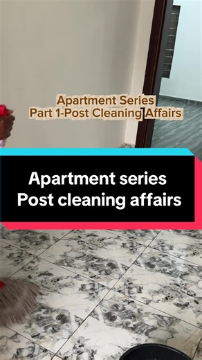 Apartment Cleaning Series: Tips and Tricks