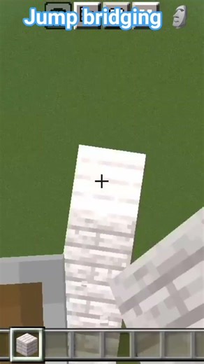 Jump bridging 🗿 #minecraft #shorts #viral #viralshorts #popular #minecraftshorts