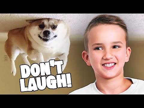 TRY NOT TO LAUGH CHALLENGE from VLAD!