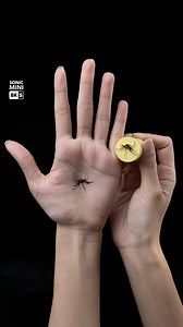 3D Print Your Next Prank! 🦟 Ready for some prankster fun? Let's 3D print a Mosquito Stamp! Use 3D modeling to design a quirky mosquito stamp that leaves an adorable mosquito mark on your friends' hands. It’s the perfect way to bring some laughter and surprise into your day. Get creative, and let the pranks begin with this unique 3D-printed item! 🎉Share with your friend who loves prank! #Phrozen #3DPrinting #PrankFun | Phrozen 3D Printer