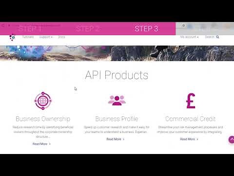 API Developer Portal - how to make a sandbox API call
