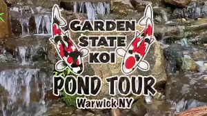11K views · 40 reactions | NATIONAL WATER AND GARDEN SHOWCASE: Get ideas on how to turn your backyard into an oasis by adding the sights and sounds of water! It will be hot on Saturday, but you'll have a COOL time on this self guided tour with 11 stops of amazing backyards in Northern New Jersey and Orange County New York. Call the store and we will email you a tour booklet! 845.651.4100 or email us at Sales@gardenstatekoi.com. | Garden State Koi Pond & Waterfall Design Center | Facebook
