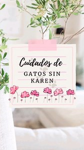 7.3K views · 83 reactions | Tips para viajar tranquilos asegurando el bienestar de nuestros gatijos . Créditos a la cuenta de tik tok de nuestro gran Karen padre @jorgerunza . #gatos #gatosdelmundo #mundofelino #cuidadosfelinos #gatitos | Divas Spa | Facebook