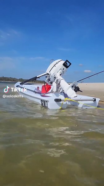 Chillin on a sandbar....