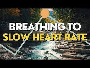 Breathing Exercise to Slow Heart Rate | 4-8 Breathing