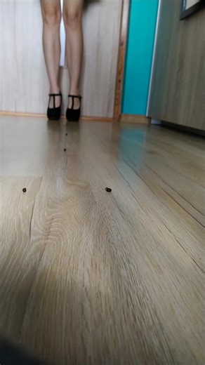 #shoes #heels #highheels #heelslove #heelslover #crush #heelscrush #trample #heelstrample #asmr #foryou #foryoupage #fy #fyp