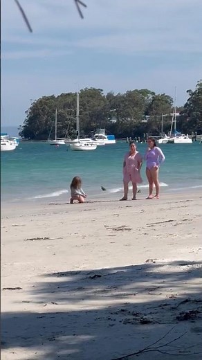 People Enjoying Amazing Bay Day Beach and Boats | Chilling at the Bay Best Beach Afternoon Ever