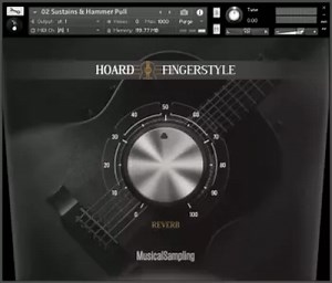 Musical Sampling Hoard Fingerstyle KONTAKT