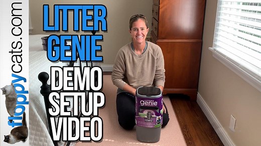 In this video, I show how to put the Litter Genie together after you buy it from the store. I also show how to insert and use the litter genie refill. And finally, I show how to use it once it's put together. The Litter Genie is a great way to control cat litter box odor in your home that is safe for your cat and safe for you (as opposed to artificial air fresheners or scented litters which are both dangerous for you and your cat). Litter Genie Pail: https://amzn.to/2A4HoHy Litter Genie Refills: