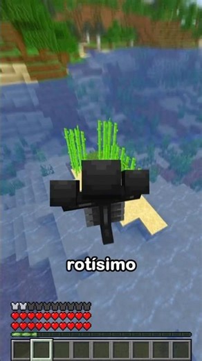 Siendo un Wither en Minecraft 💀