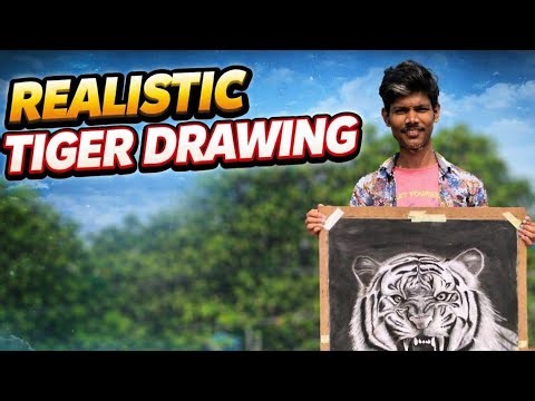 Realistic Tiger Pencil Drawing Step by Step | Hyper Realistic Wildlife Art | Graphite Sketch
