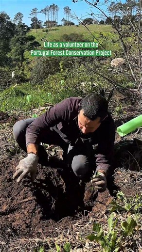 Life as a volunteer on the Portugal Forest Conservation Project